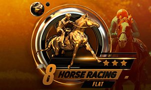 8 horse racing flat